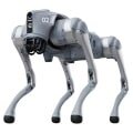 Roboty psy