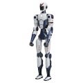 Roboty humanoidalne