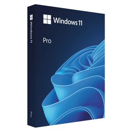 Program MICROSOFT Windows 11 Pro OEM DVD 