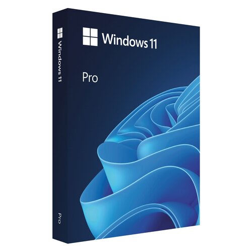 Program MICROSOFT Windows 11 Pro OEM DVD